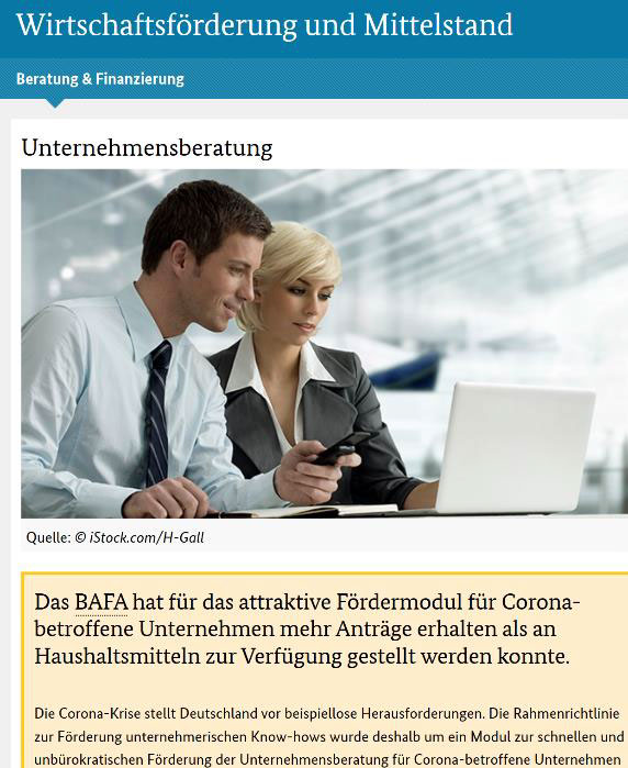 BAFA_Unternehmensberatung